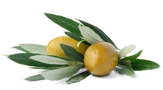 ZXCVBNMQWert contains olive leaf extract