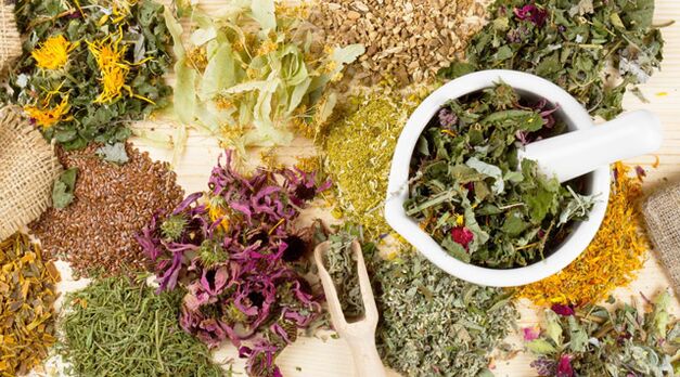 Medicinal plants that help fight against diabetes mellitus