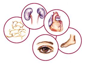 Organs in which mellitus diabetes complications